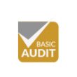 Iconos Audit Basic-01